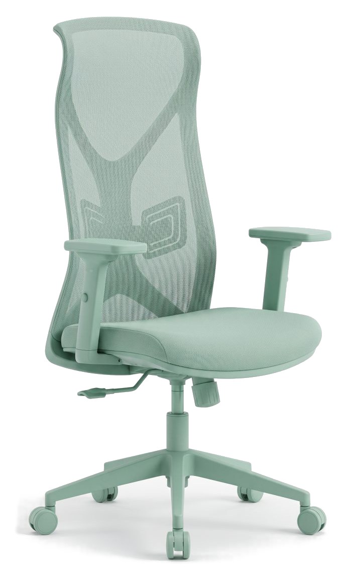 Sitwell Flex 5001|藍