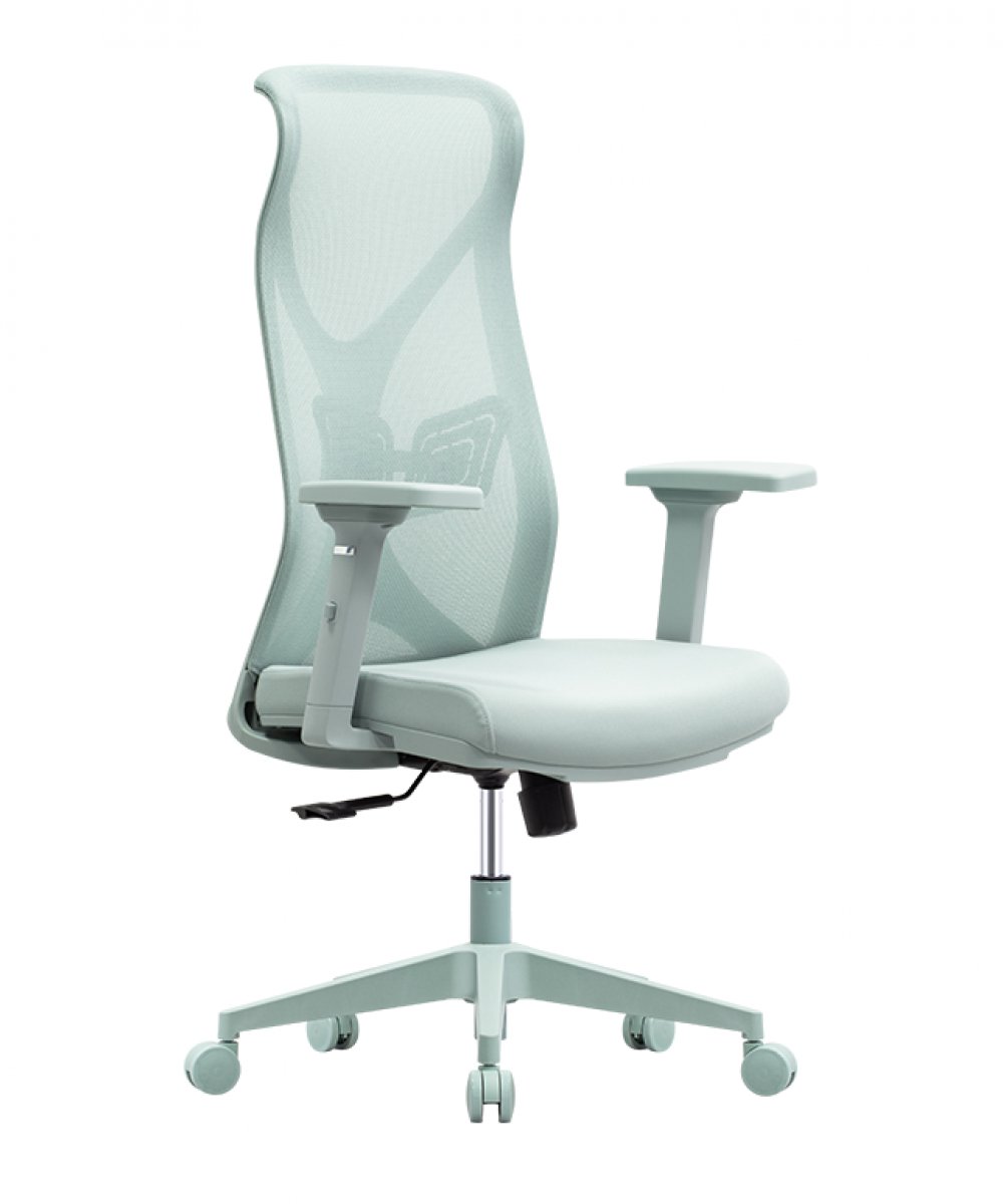 Sitwell Flex 5001|薄荷藍